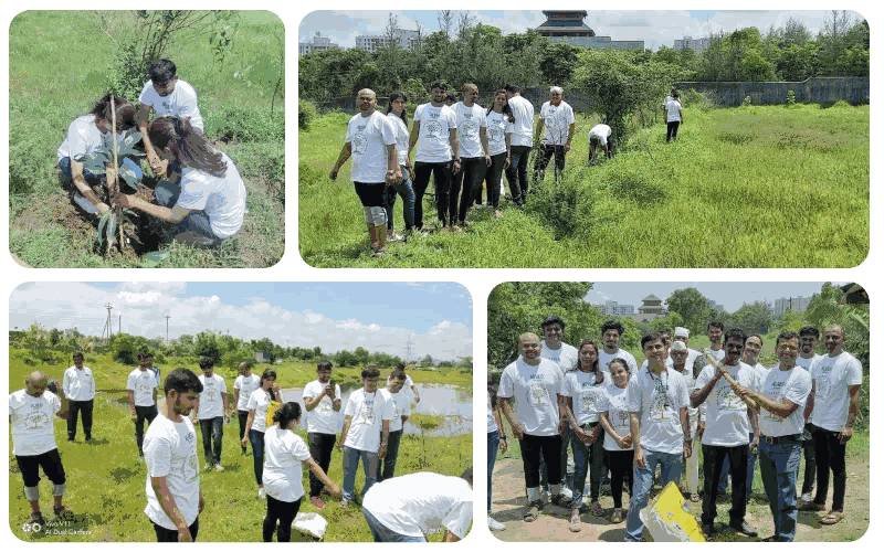 Alveo contribution activity